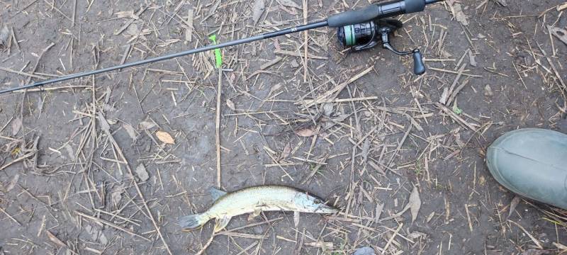Фотозвіт риболовлі - Сумська область