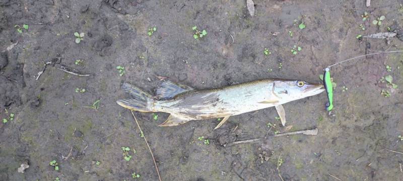 Фотозвіт риболовлі - Сумська область