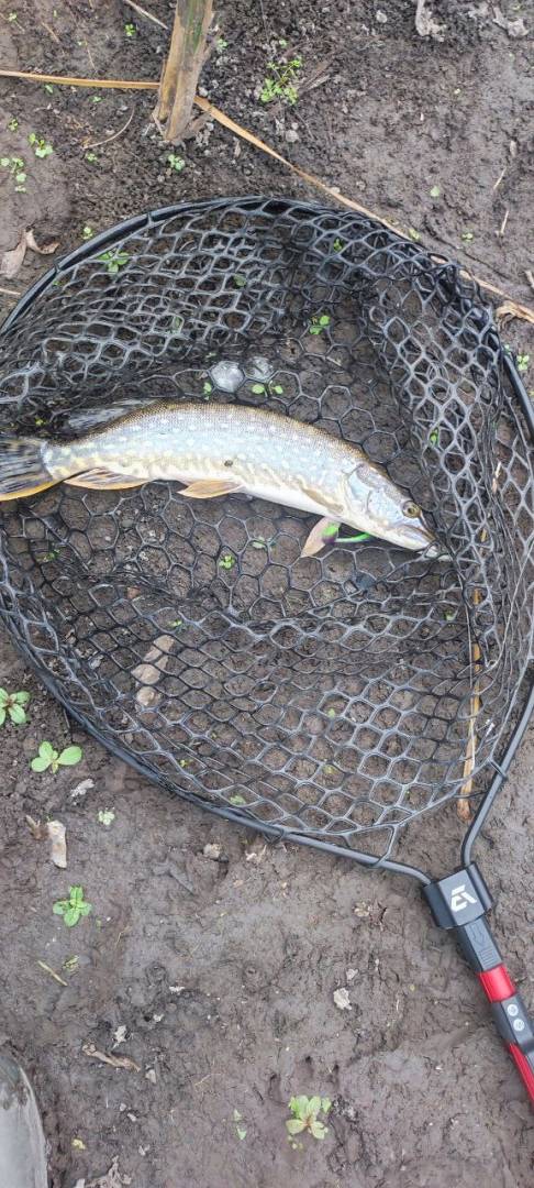 Фотозвіт риболовлі - Сумська область