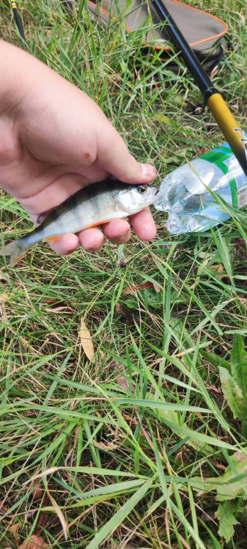 Фотозвіт риболовлі - Березівка