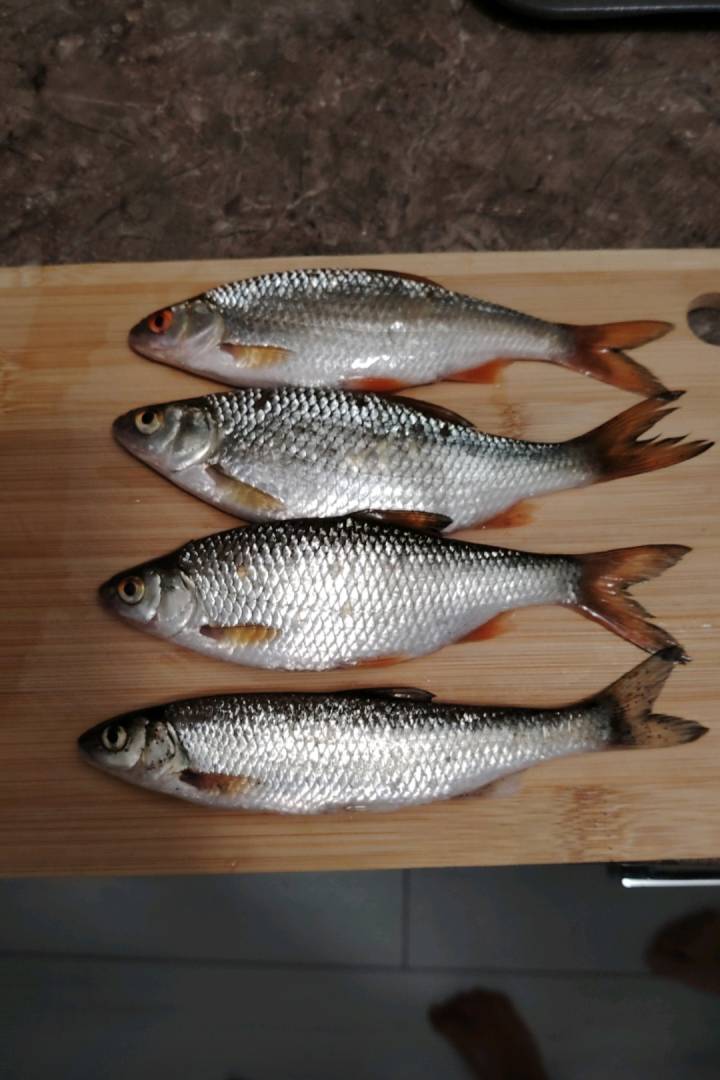 Риболовний звіт по рибі: Плотва, Тараня