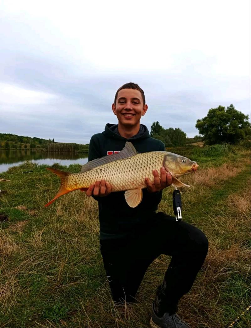 Риболовний звіт по рибі: Короп