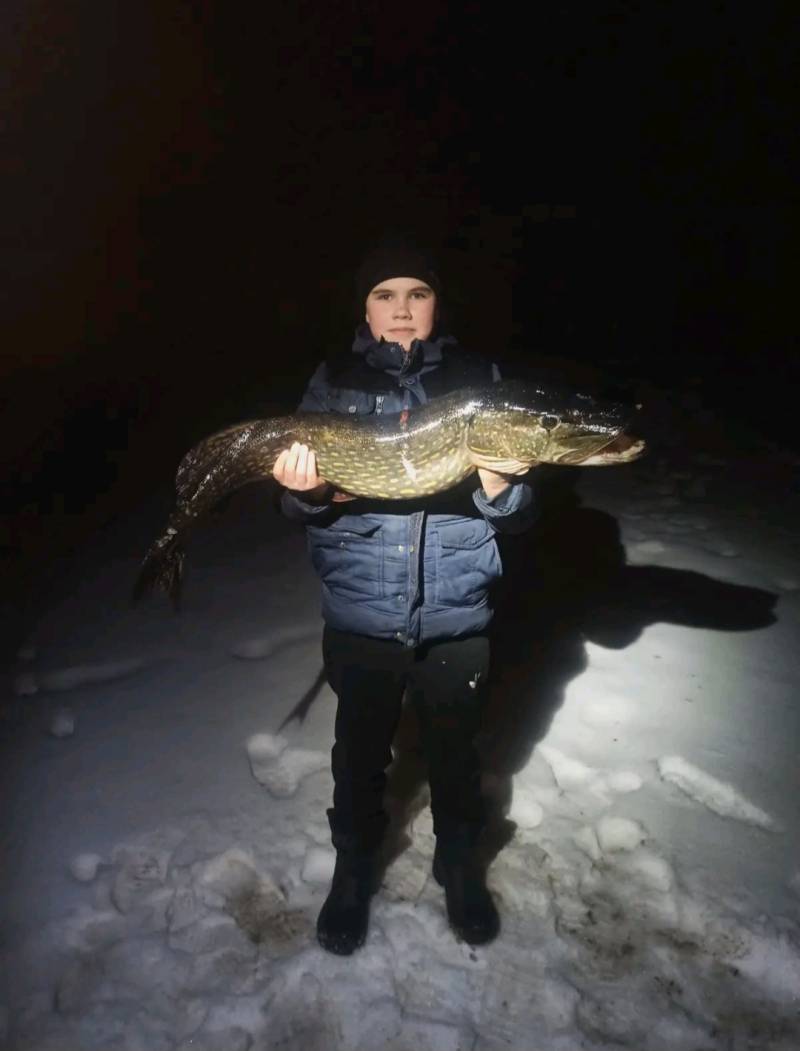 Риболовний звіт по рибі: Щука