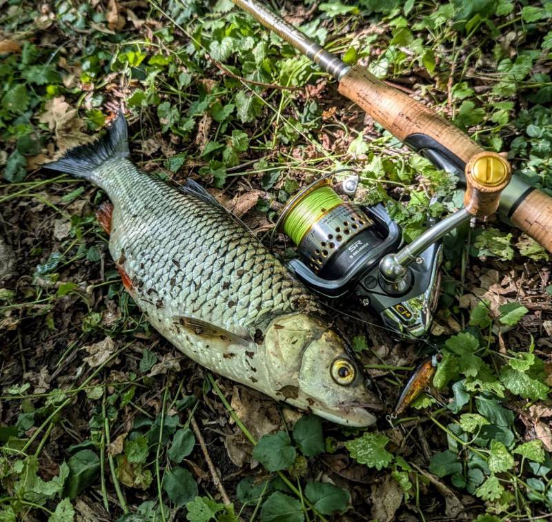 Фотозвіт риболовлі - Балаклія