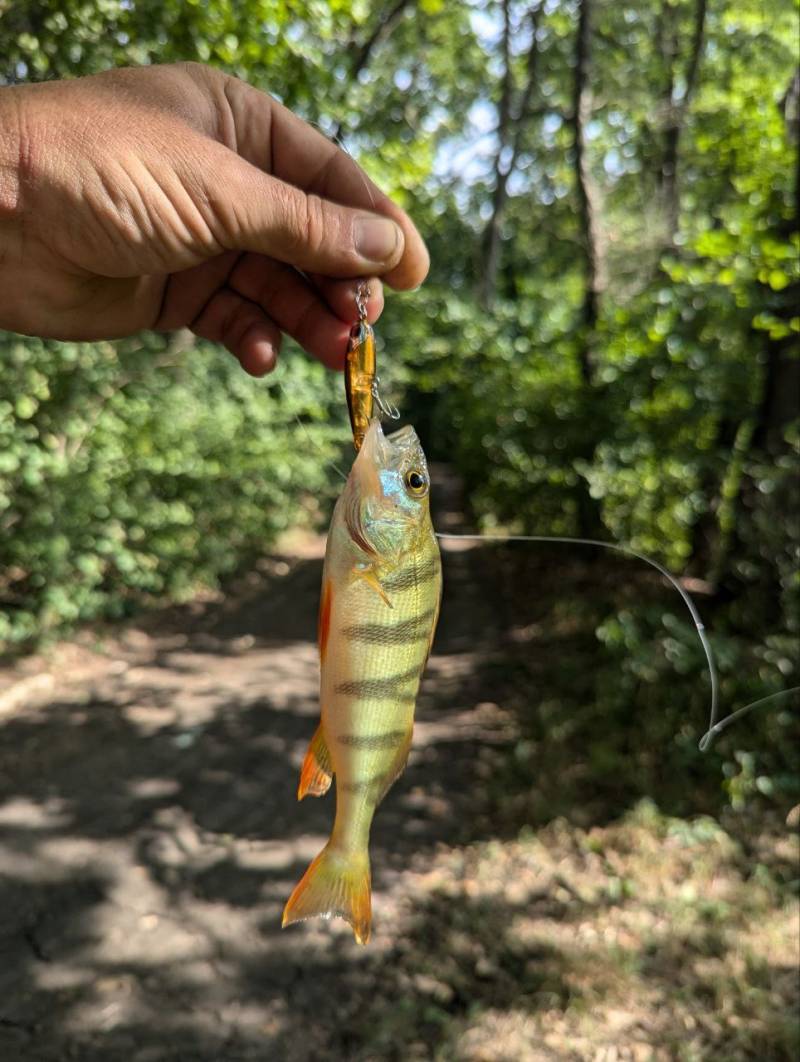 Фотозвіт риболовлі - Балаклія