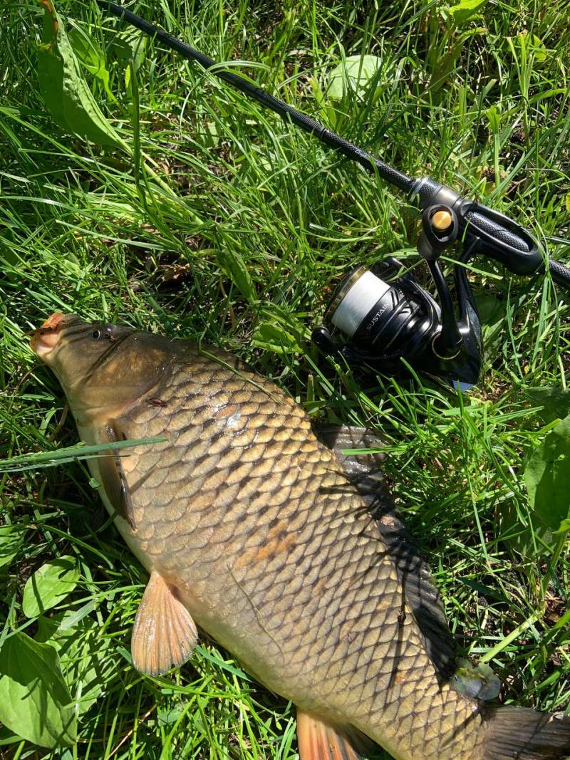 Фотозвіт риболовлі - Чернігівська область