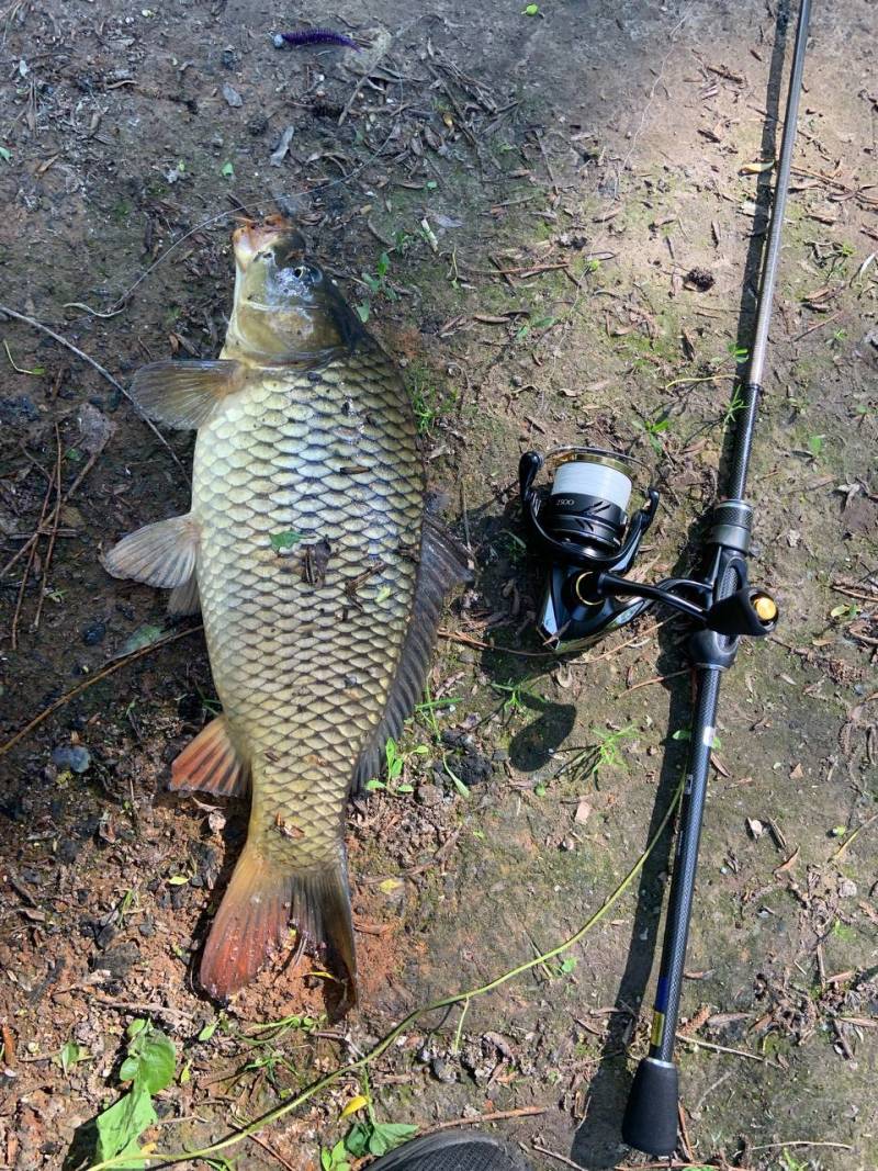 Фотозвіт риболовлі - Чернігівська область