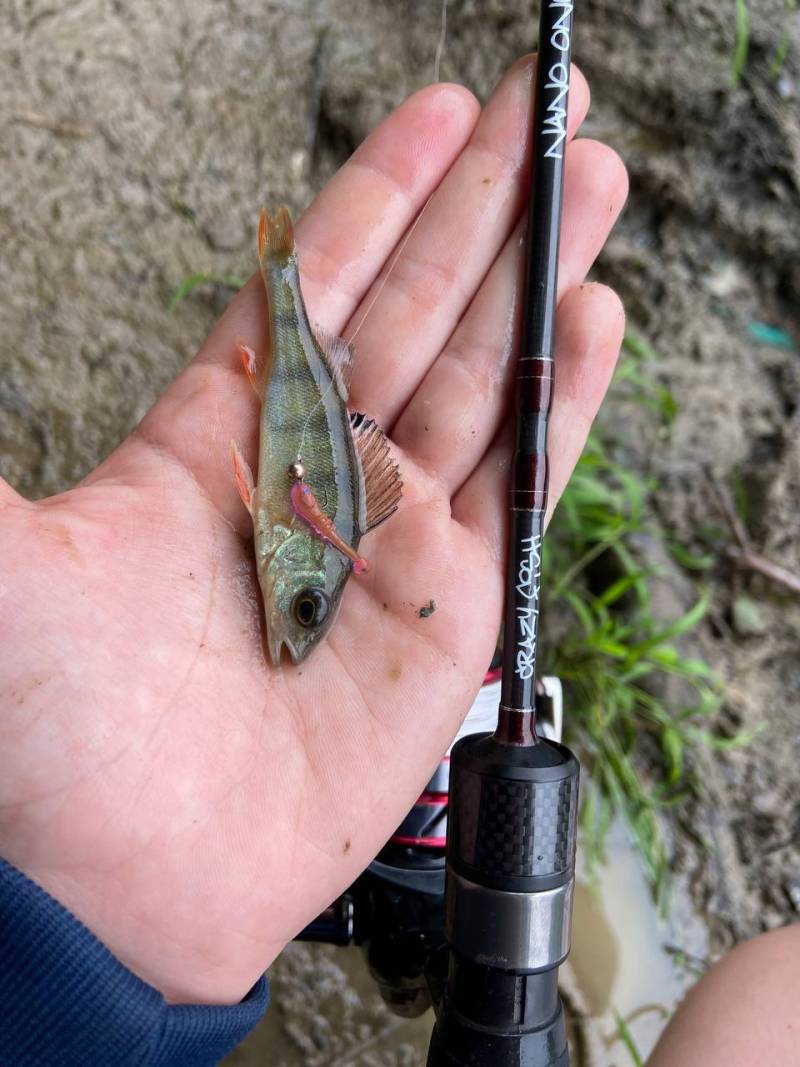 Фотозвіт риболовлі - Львівська область