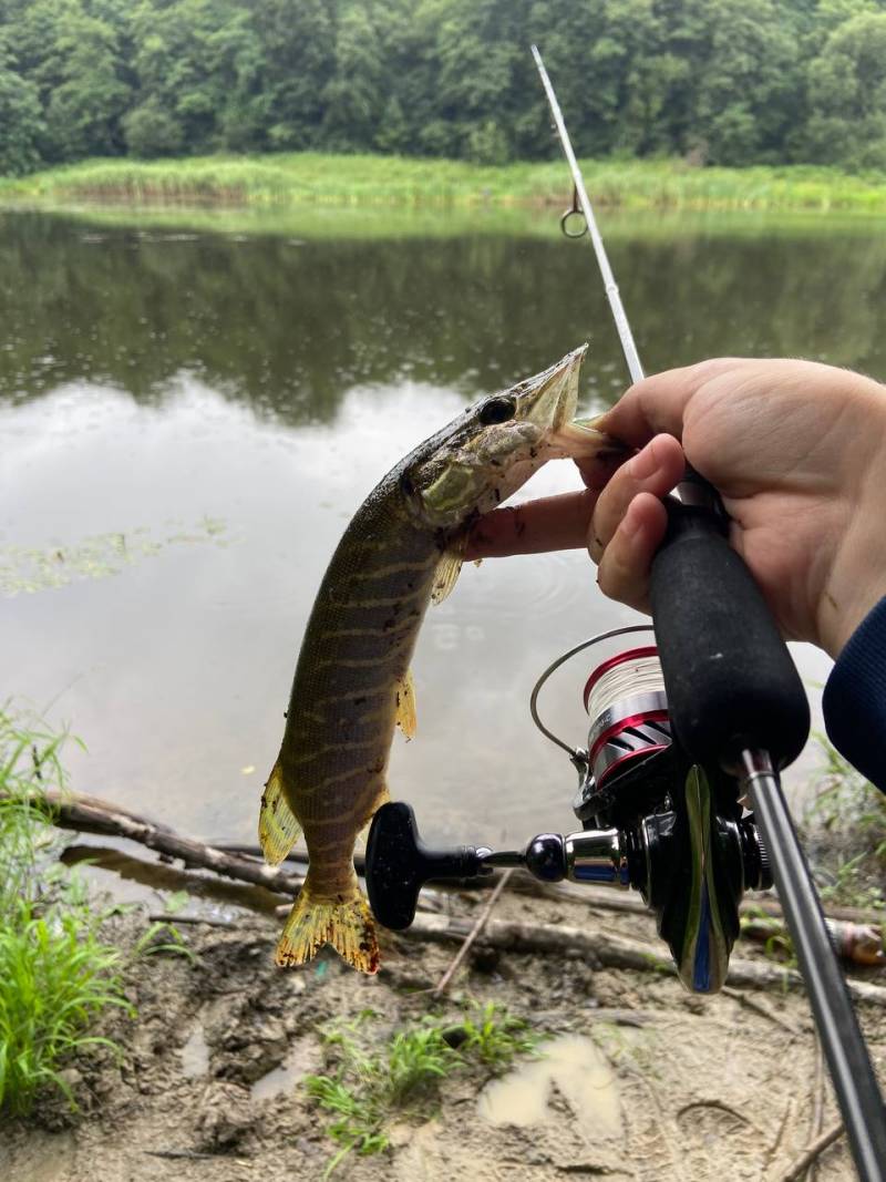 Фотозвіт риболовлі - Львівська область