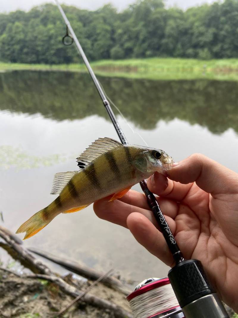 Фотозвіт риболовлі - Львівська область