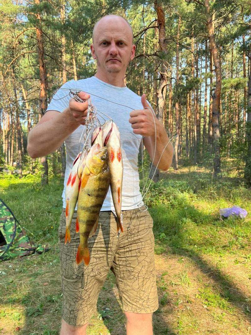 Риболовний звіт по рибі: Окунь