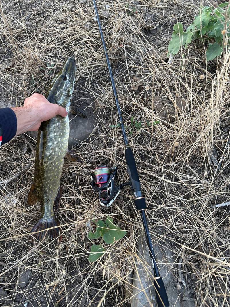 Фотозвіт риболовлі - Долинська