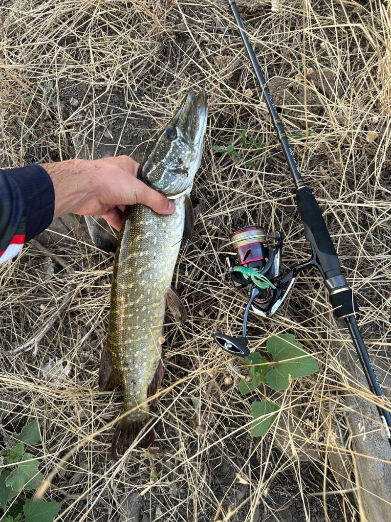 Фотозвіт риболовлі - Долинська