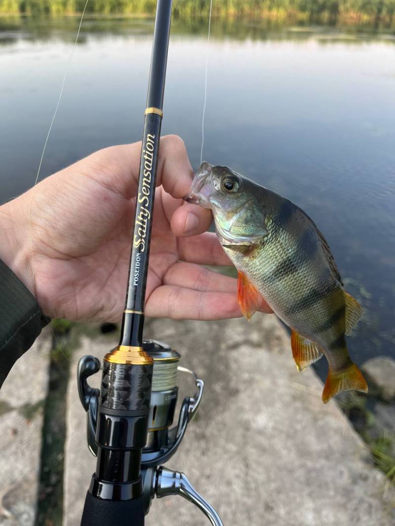 Фотозвіт риболовлі - Балаклія