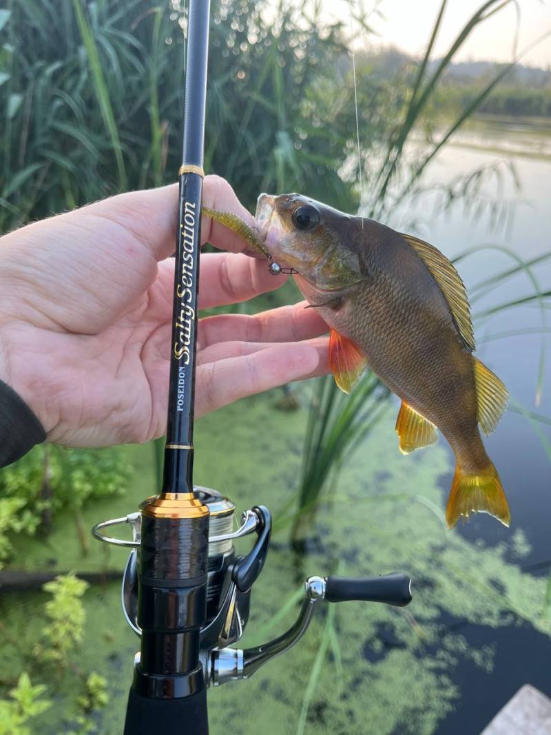 Фотозвіт риболовлі - Балаклія