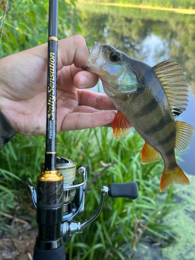 Фотозвіт риболовлі - Балаклія