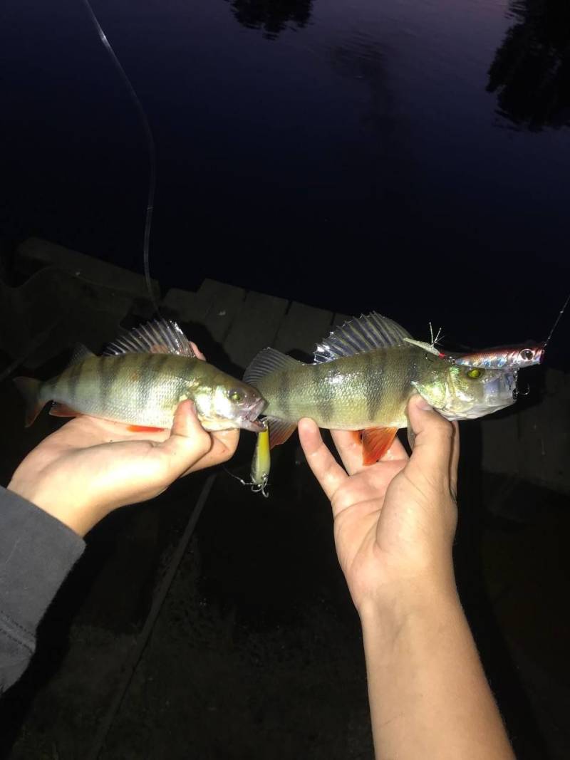 Фотозвіт риболовлі - Васильків