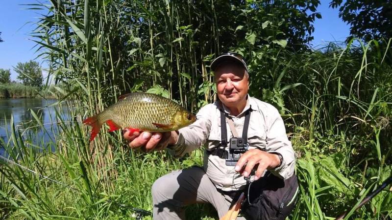 Риболовний звіт по рибі: Краснопірка