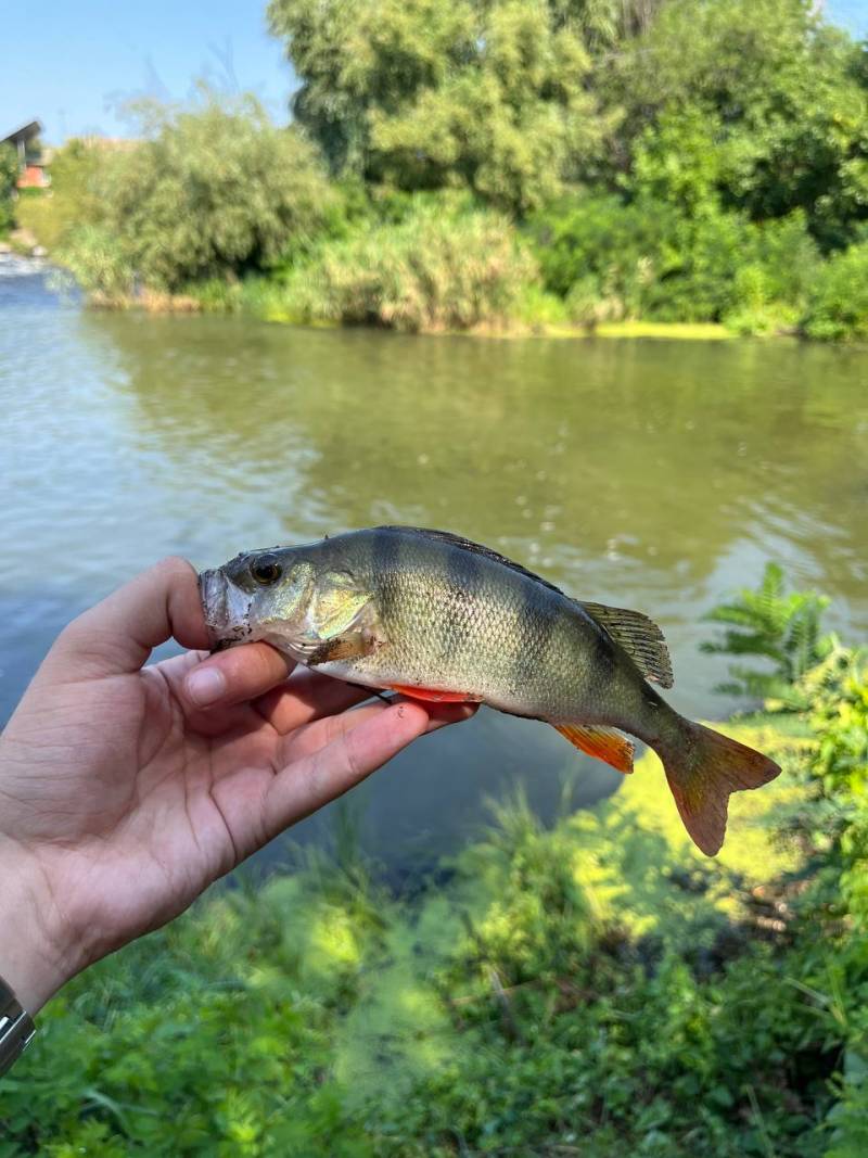 Фотозвіт риболовлі - Дніпропетровська область