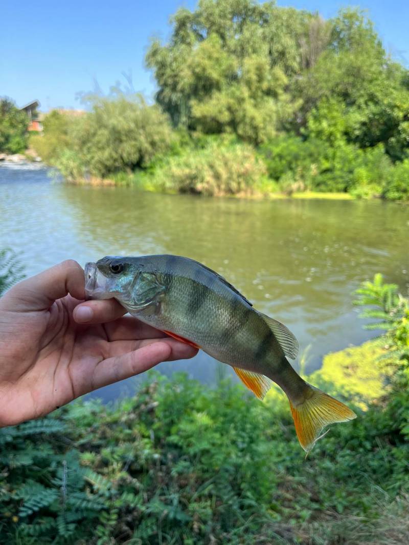 Фотозвіт риболовлі - Дніпропетровська область