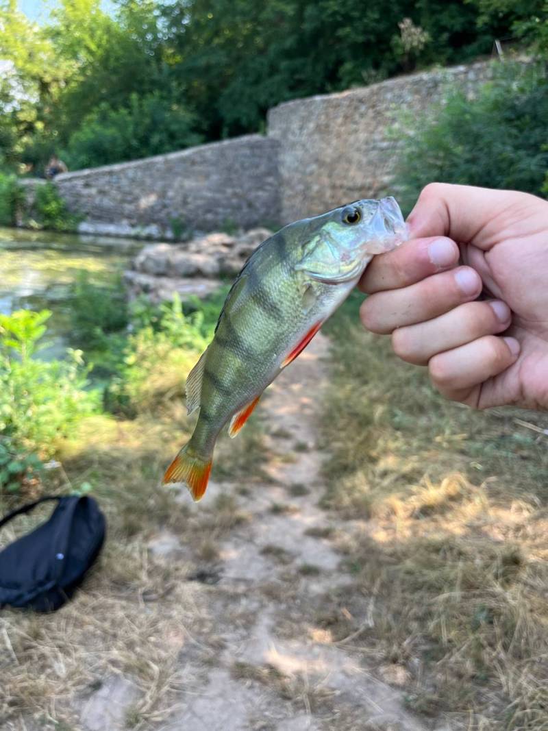 Фотозвіт риболовлі - Дніпропетровська область