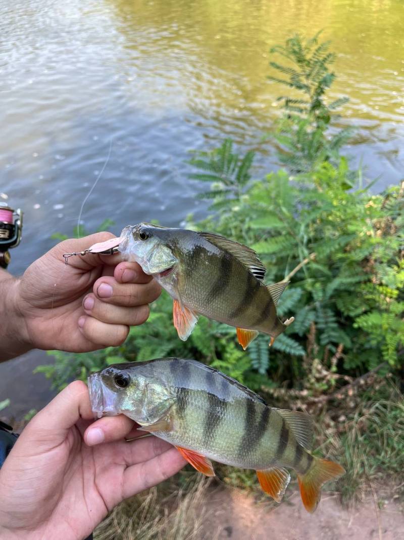 Фотозвіт риболовлі - Дніпропетровська область