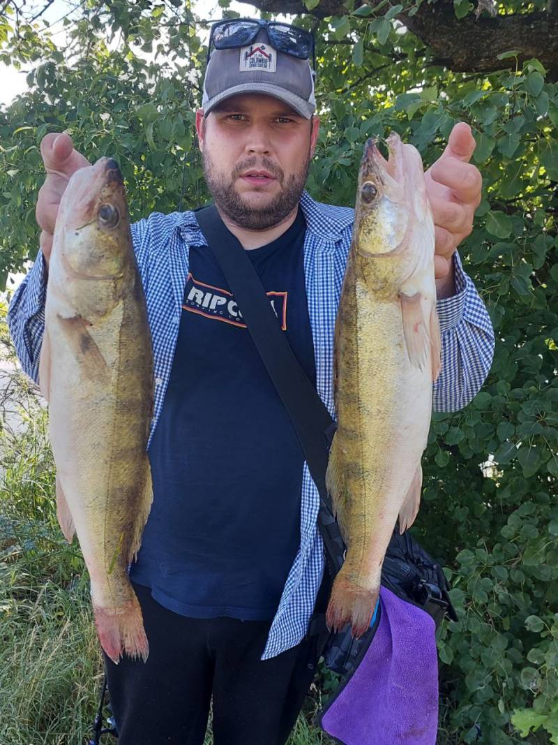 Риболовний звіт по рибі: Судак