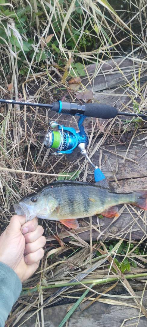 Фотозвіт риболовлі - Торецьк