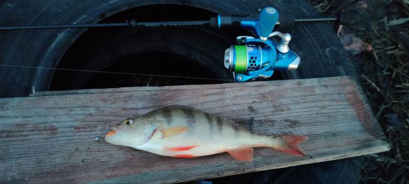 Фотозвіт риболовлі - Торецьк