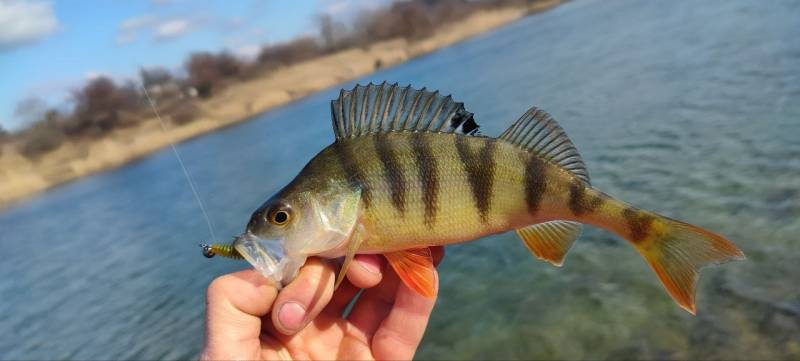 Фотозвіт риболовлі - Торецьк
