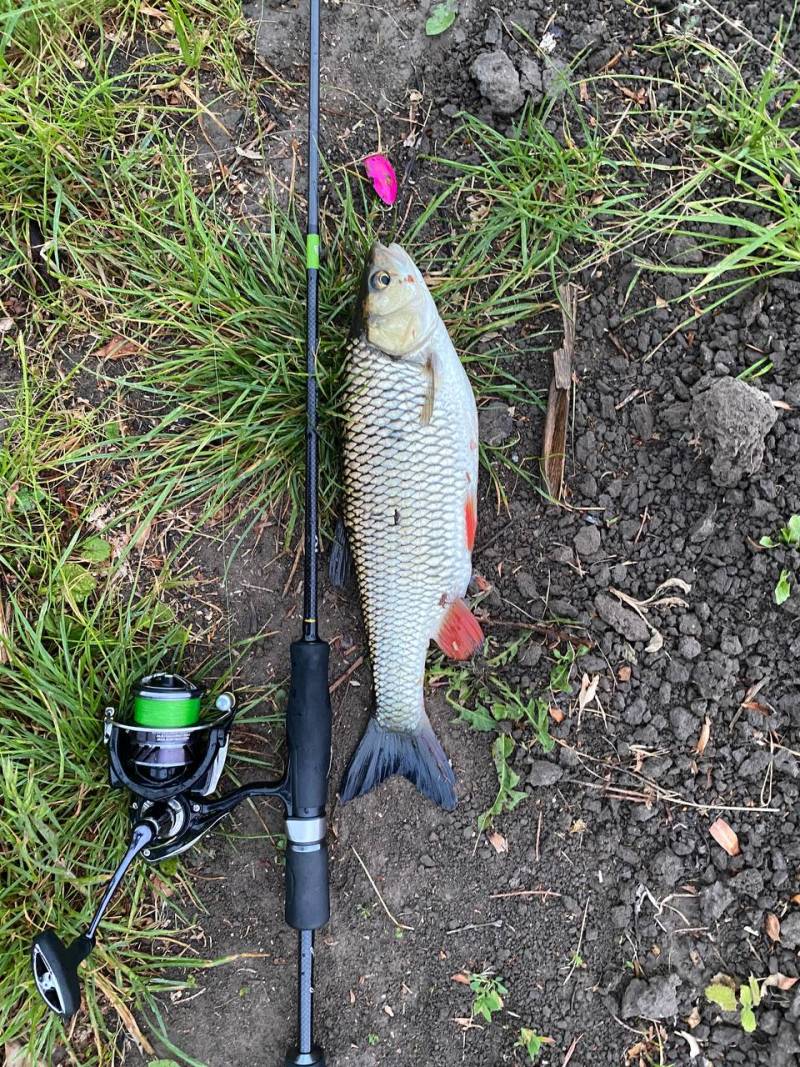 Фотозвіт риболовлі - Снятин