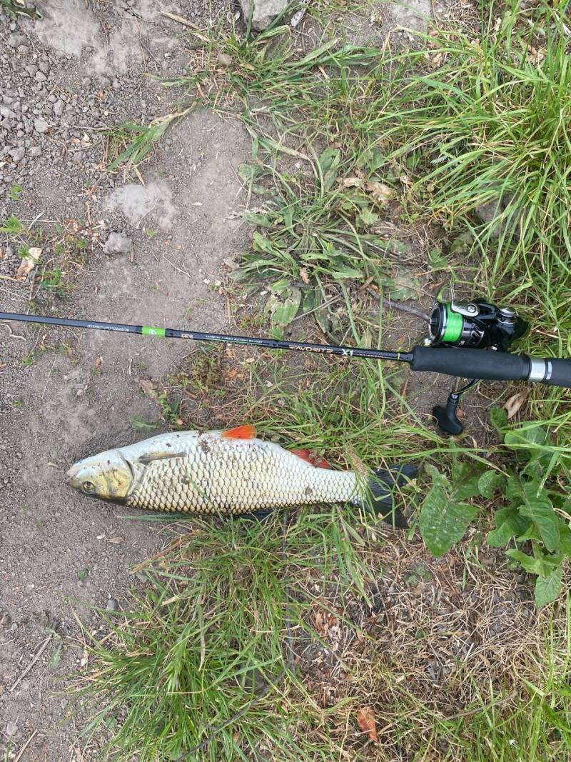 Фотозвіт риболовлі - Снятин