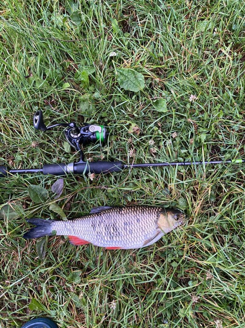 Фотозвіт риболовлі - Снятин