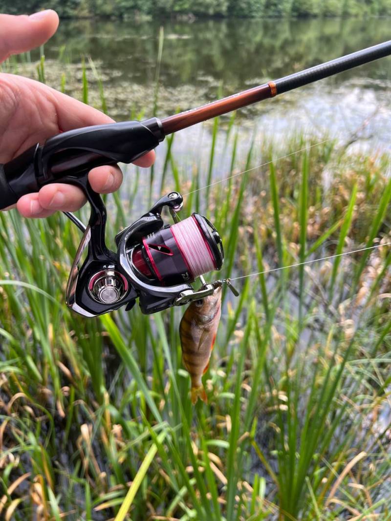 Фотозвіт риболовлі - Львівська область