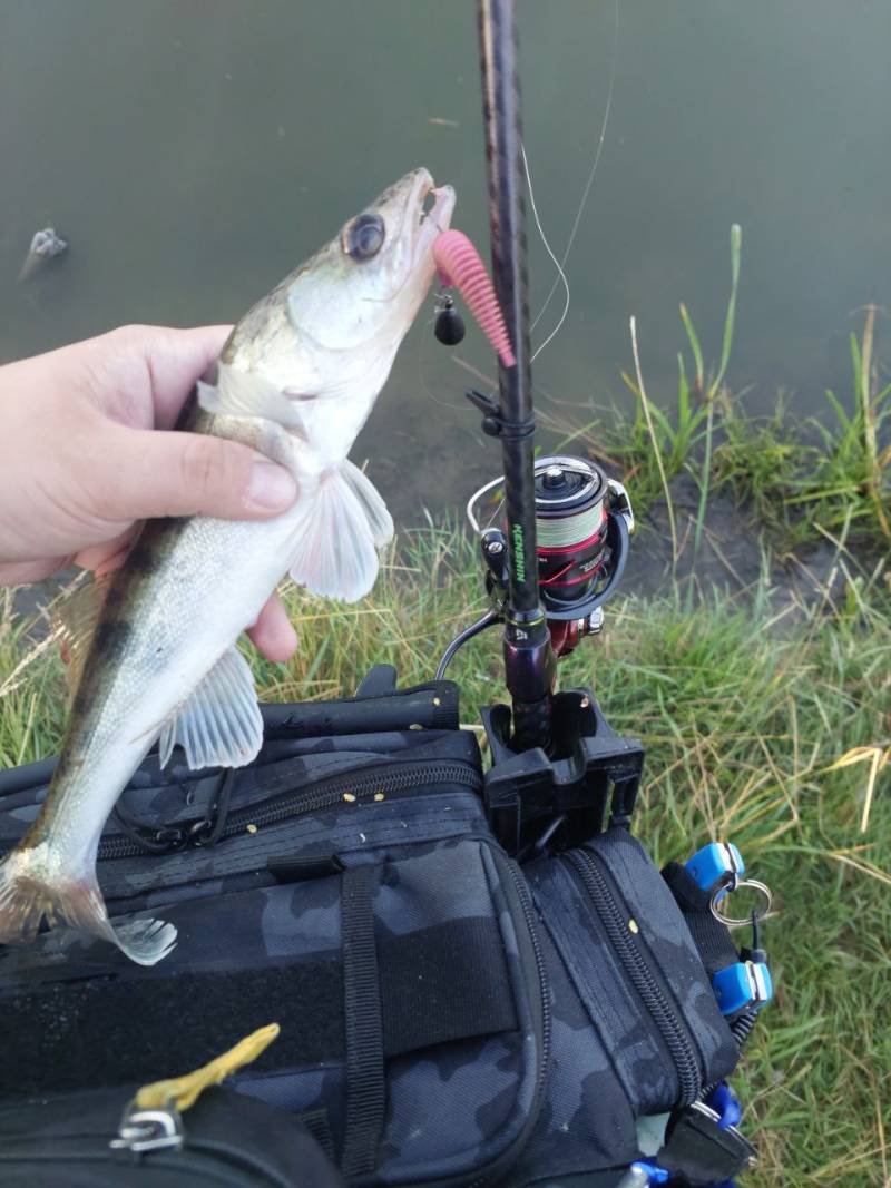 Фотозвіт риболовлі - Гнилий Єланець