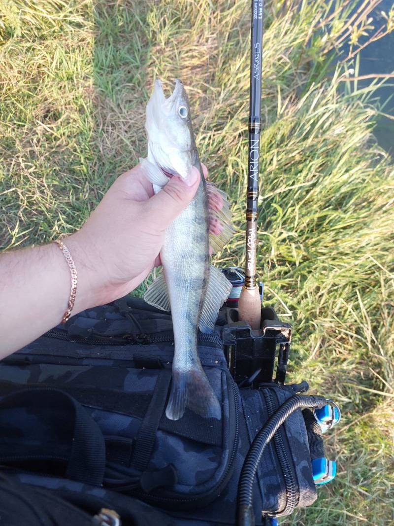 Фотозвіт риболовлі - Гнилий Єланець