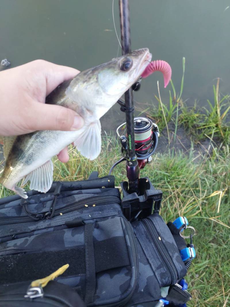 Фотозвіт риболовлі - Гнилий Єланець