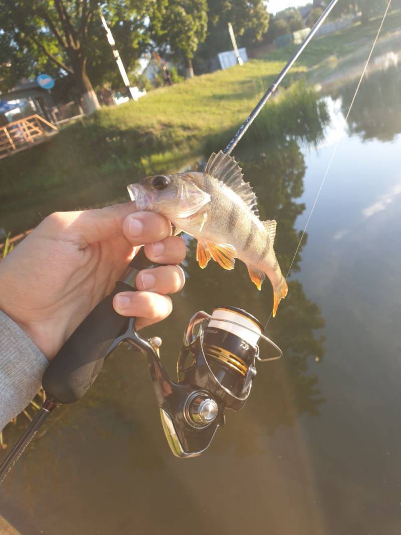 Фотозвіт риболовлі - Сміла