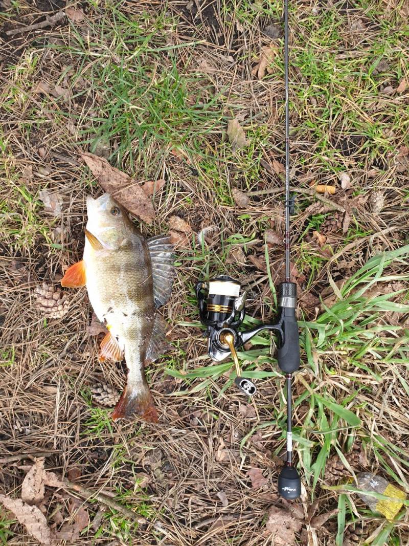 Фотозвіт риболовлі - Сміла