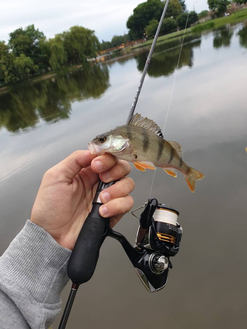 Фотозвіт риболовлі - Сміла