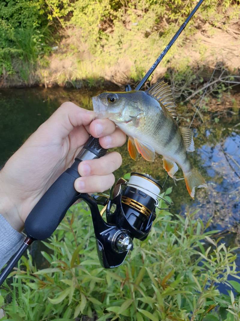 Фотозвіт риболовлі - Україна
