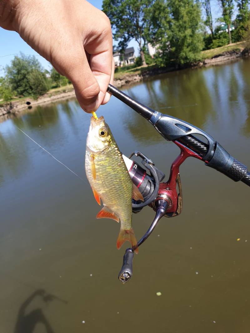 Фотозвіт риболовлі - Україна
