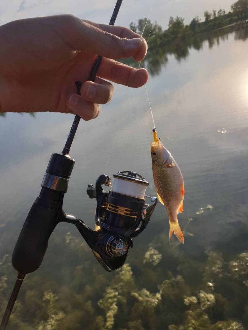 Фотозвіт риболовлі - Україна