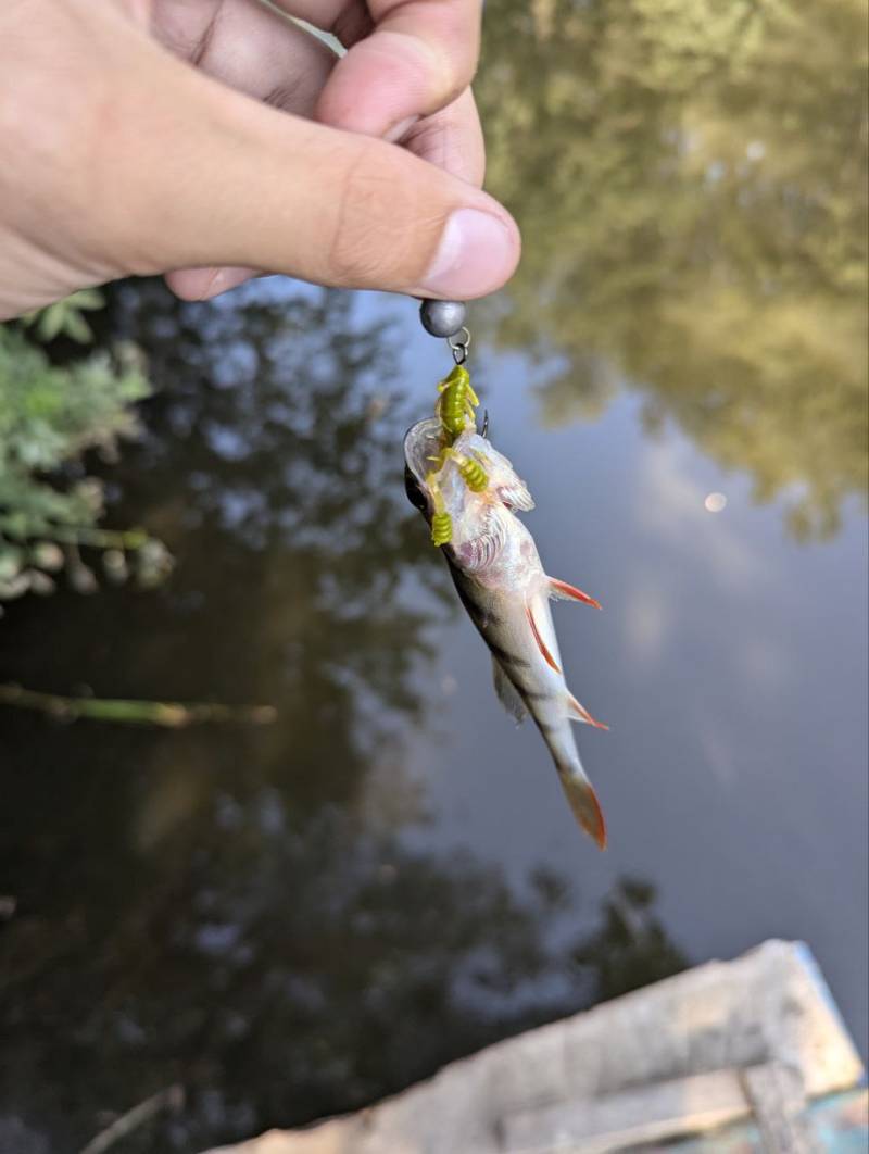 Фотозвіт риболовлі - Балаклія