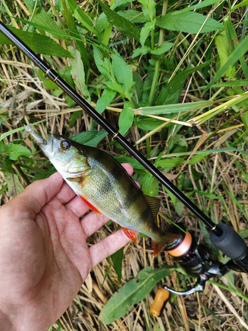 Фотозвіт риболовлі - Львівська область