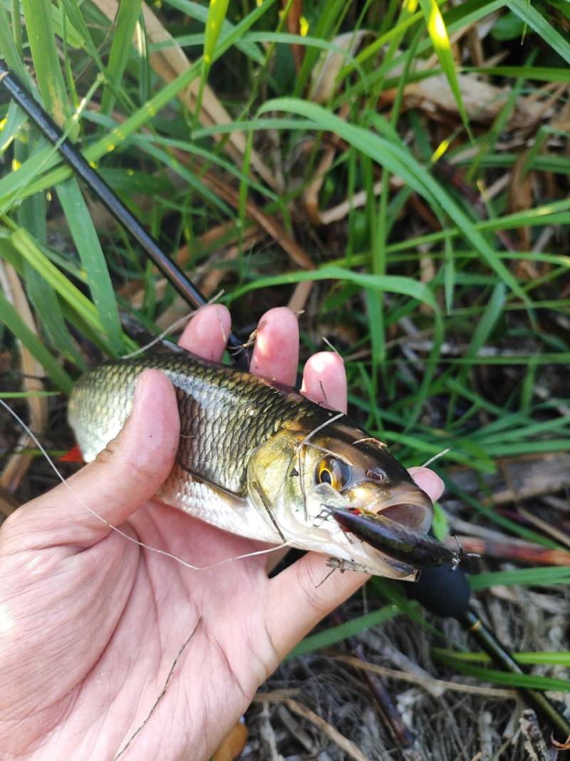 Фотозвіт риболовлі - Львівська область