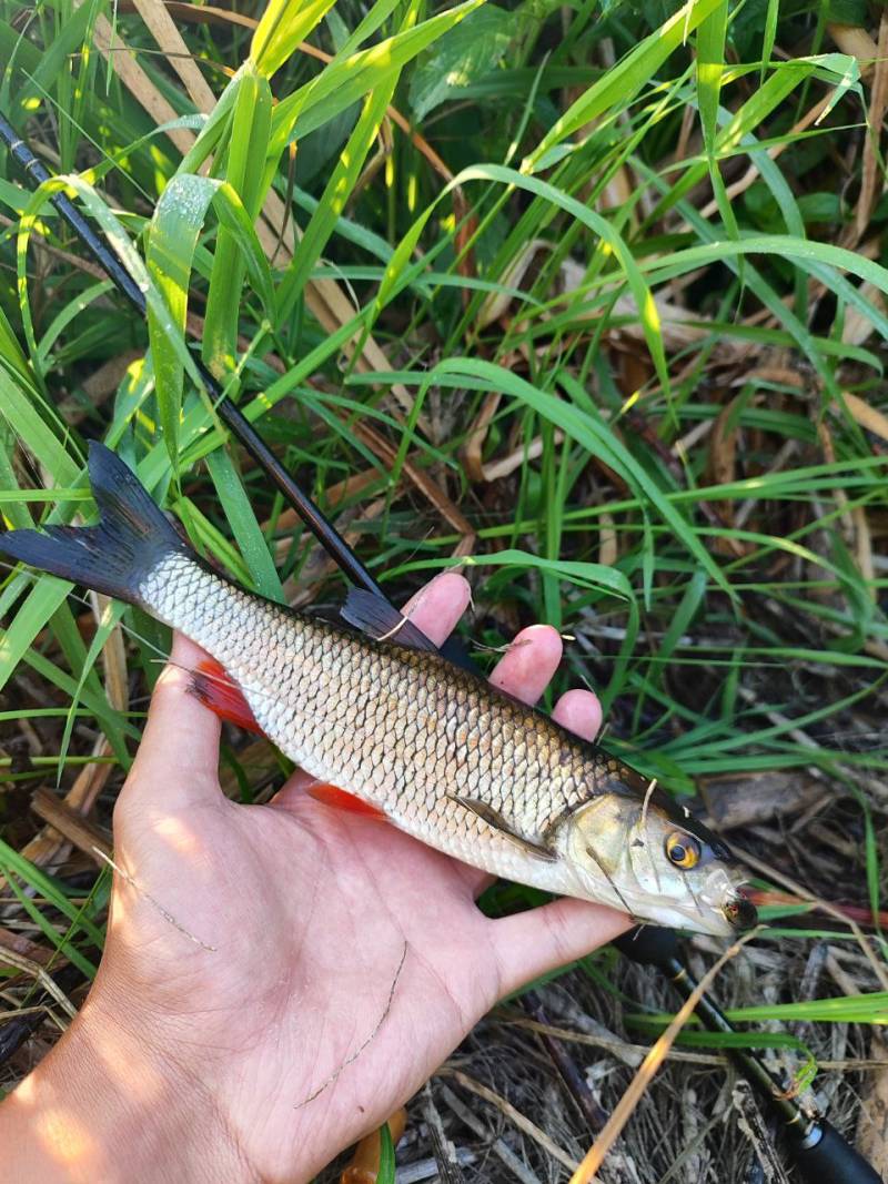 Фотозвіт риболовлі - Львівська область