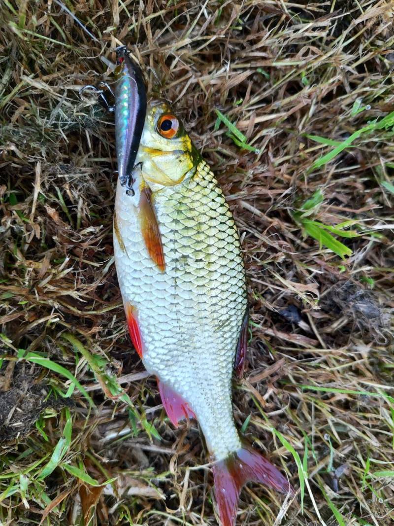 Фотозвіт риболовлі - Львівська область