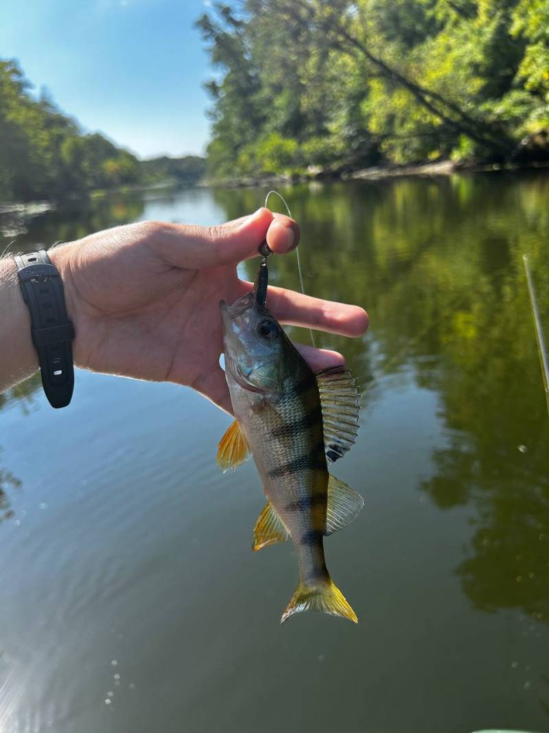 Фотозвіт риболовлі - Балаклія