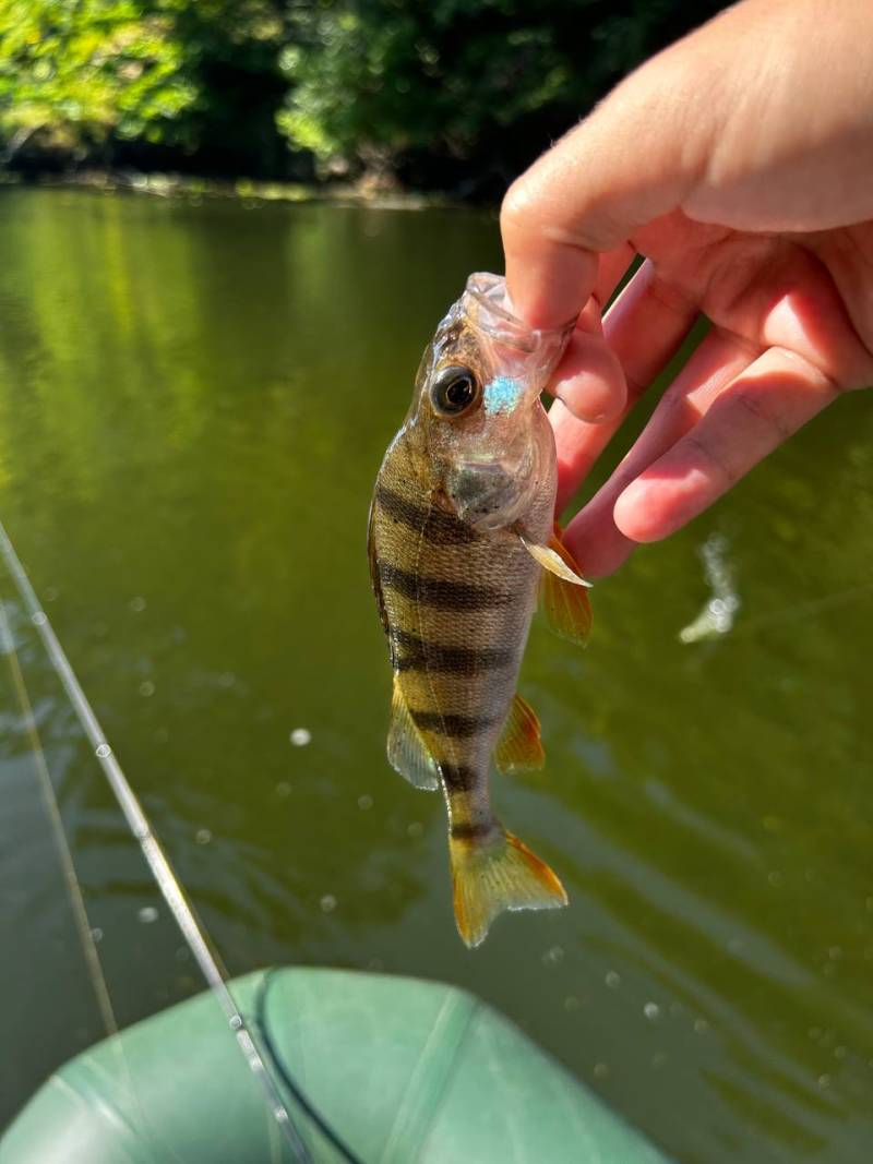 Фотозвіт риболовлі - Балаклія